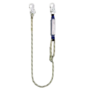 LYNAS APSAUGINIS SU AMORTIZATORIUM BW200/LB100+2xAZ002